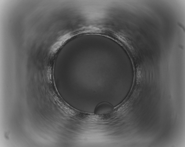 X0000100351455200806201529