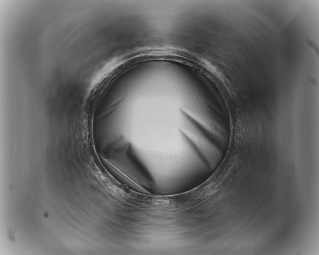 X0000100351456200806201529