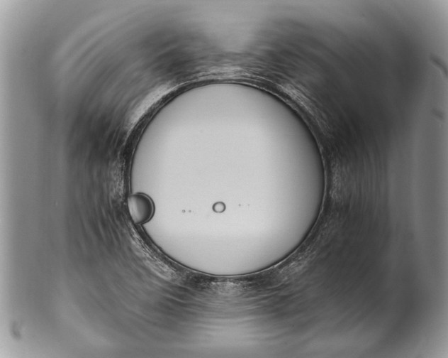 X0000100351458200806201529