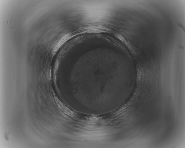 X0000100351459200806201529