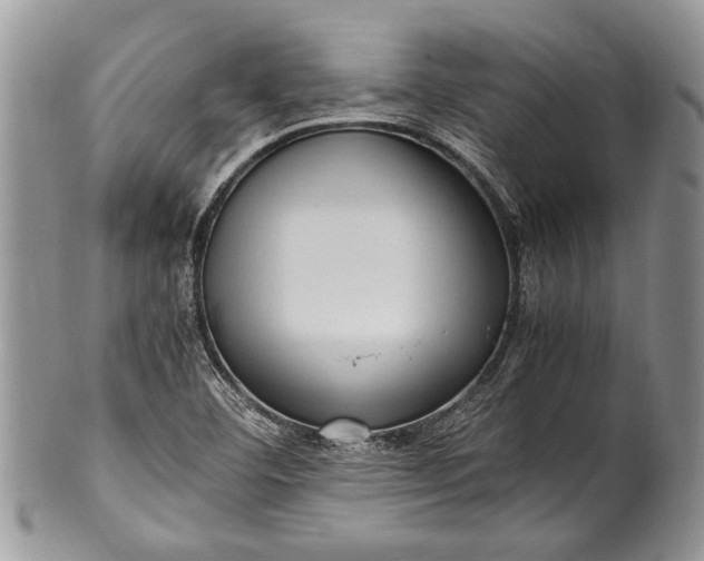 X0000100351460200806201529