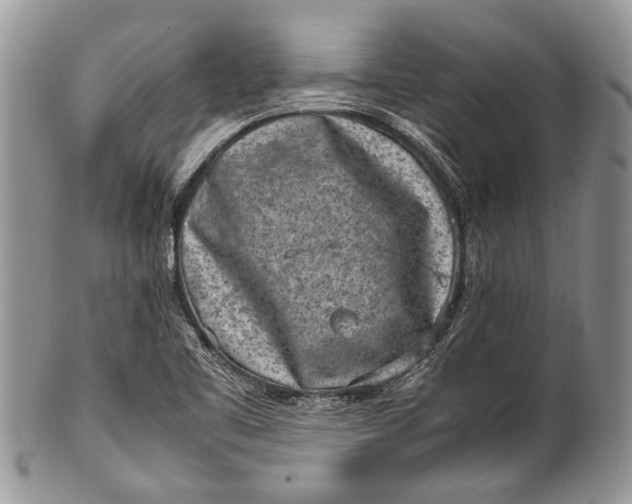 X0000100351461200806201529