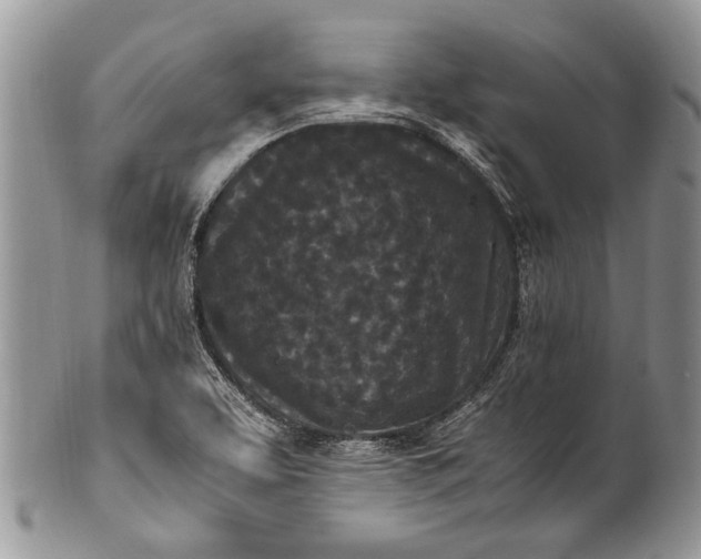 X0000100351463200806201529