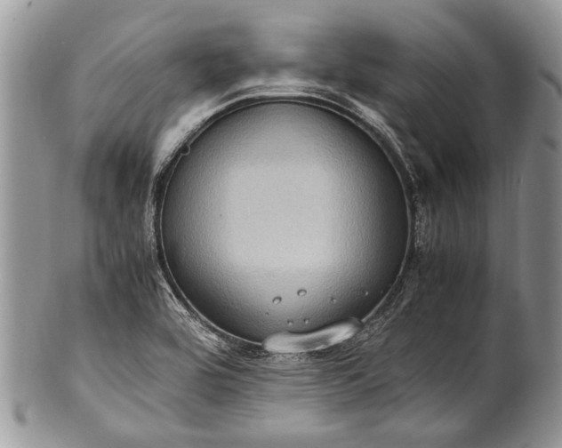 X0000100351464200806201529