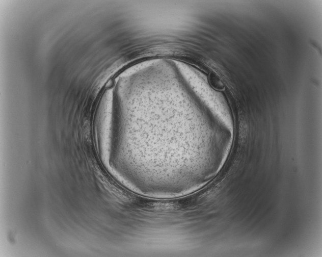 X0000100351465200806201529