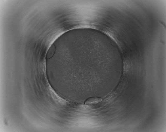X0000100351468200806201529