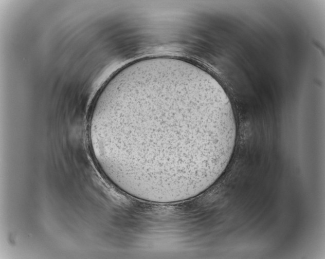 X0000100351470200806201529