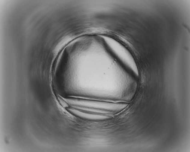 X0000100351471200806201529
