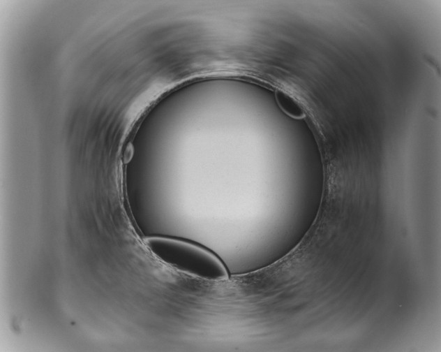 X0000100351472200806201529