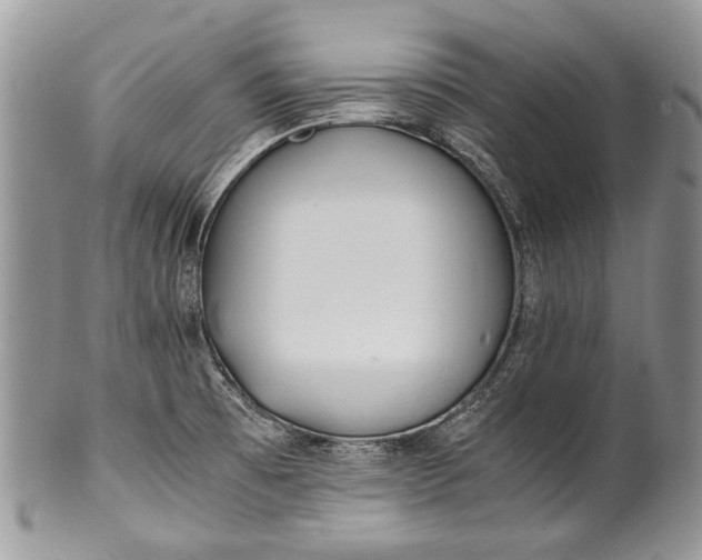 X0000100351473200806201529