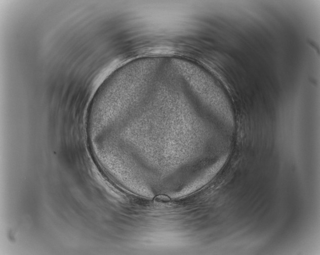 X0000100351475200806201529