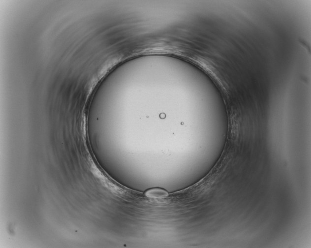 X0000100351476200806201529