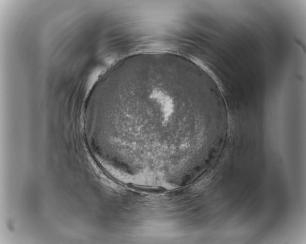 X0000100351477200806201529