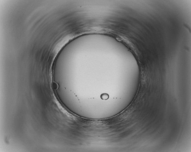X0000100351479200806201529