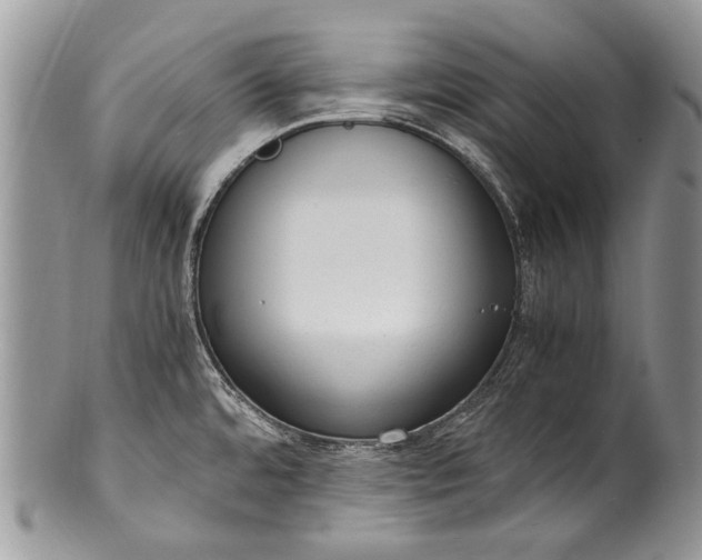 X0000100351480200806201529