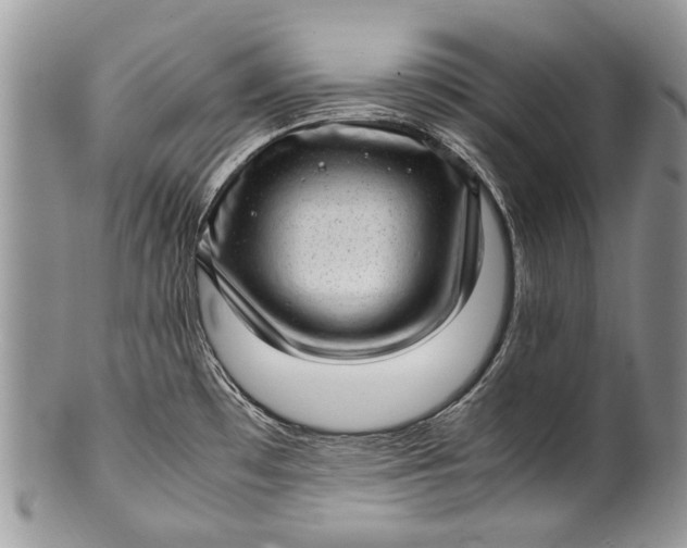 X0000100351481200806201529