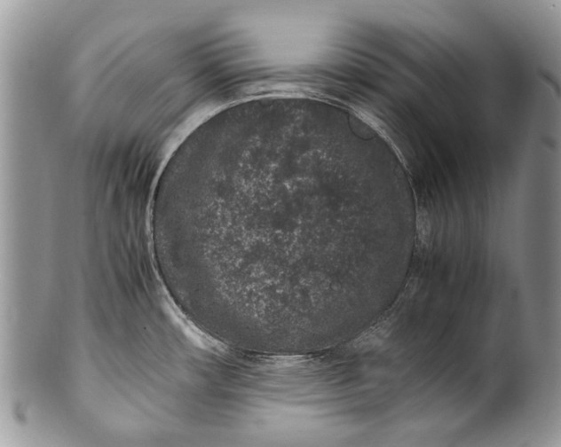 X0000100351482200806201529