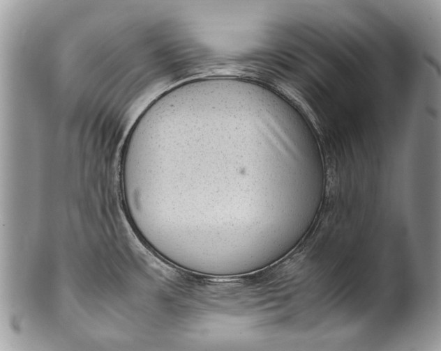 X0000100351483200806201529