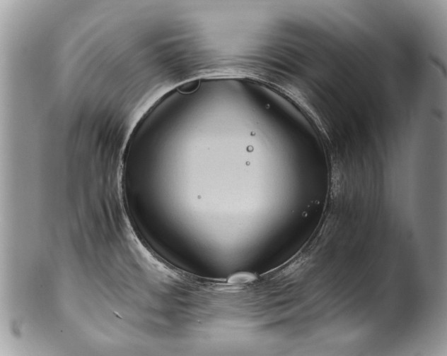 X0000100351484200806201529