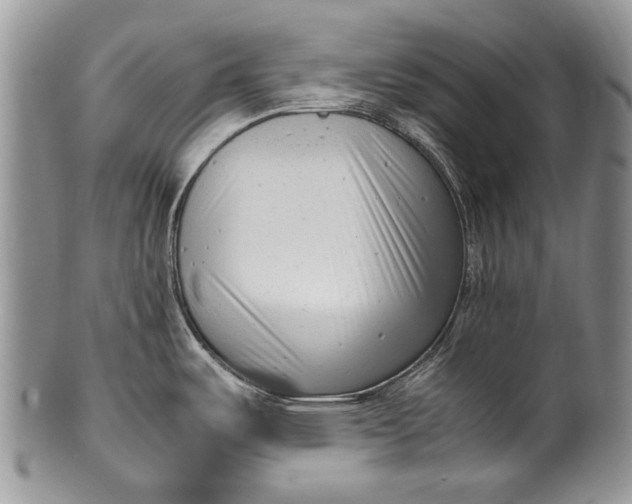 X0000100351487200806201529