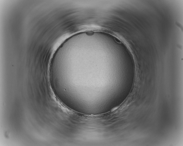 X0000100351488200806201529