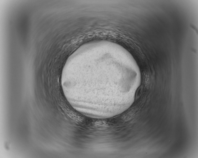 X0000100351489200806201528