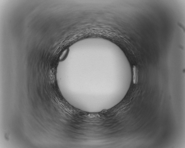 X0000100351491200806201528
