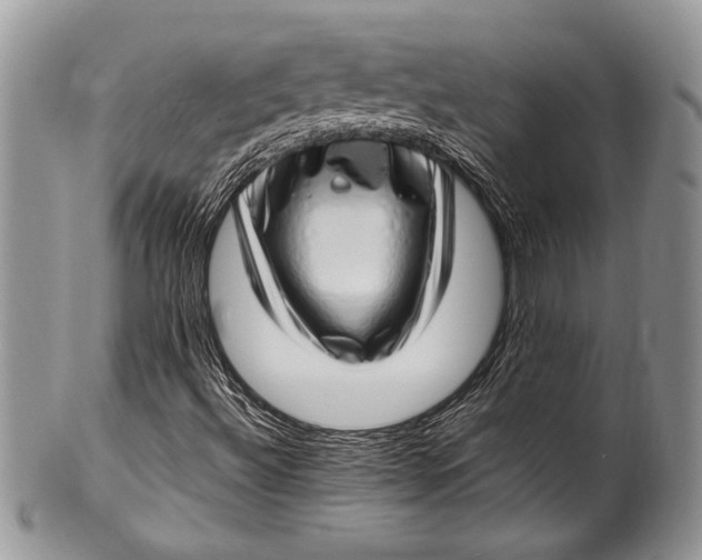 X0000100351492200806201528