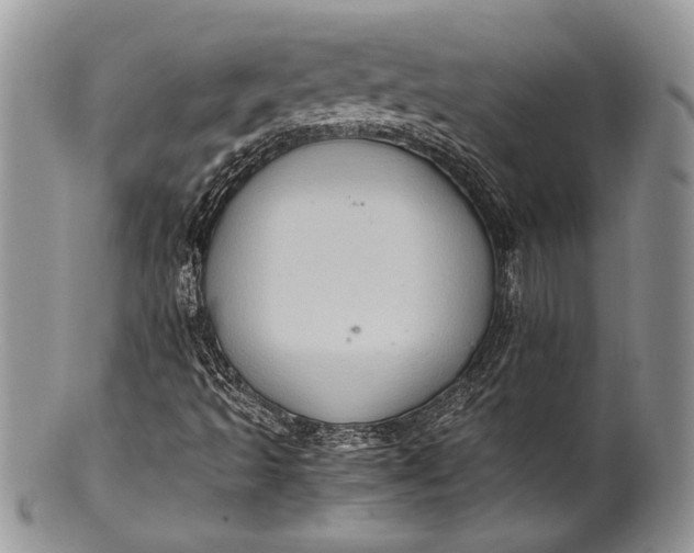 X0000100351493200806201528
