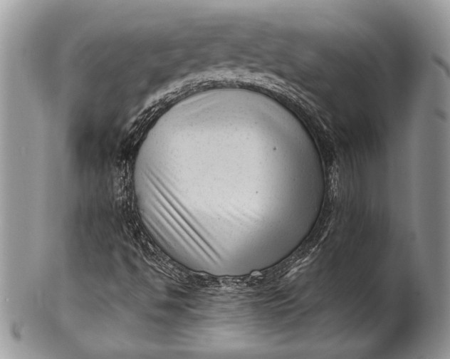 X0000100351494200806201528