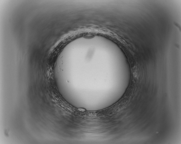 X0000100351495200806201528