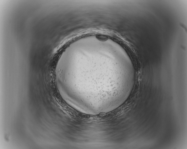 X0000100351496200806201528