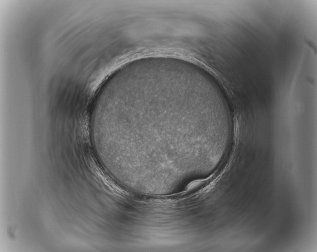 X0000100351498200806201528