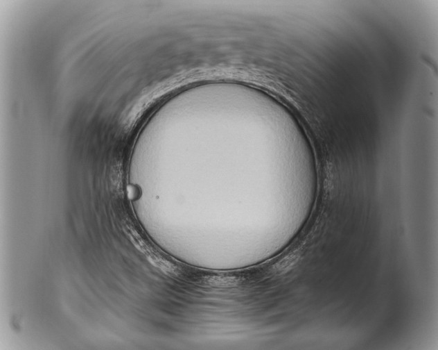 X0000100351499200806201528