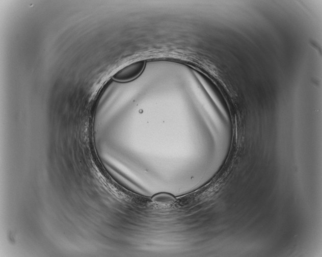 X0000100351500200806201528