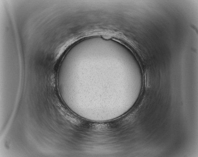 X0000100351501200806201528