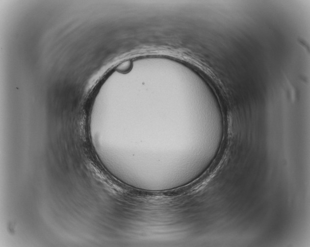 X0000100351502200806201528