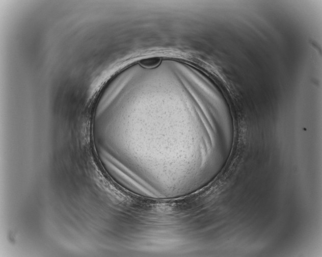 X0000100351504200806201528