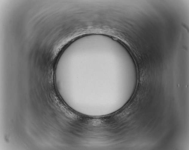 X0000100351507200806201528