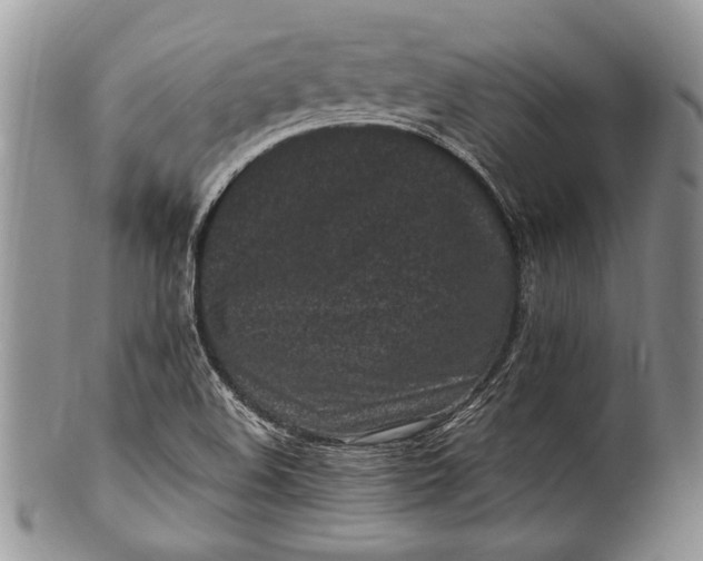 X0000100351508200806201528