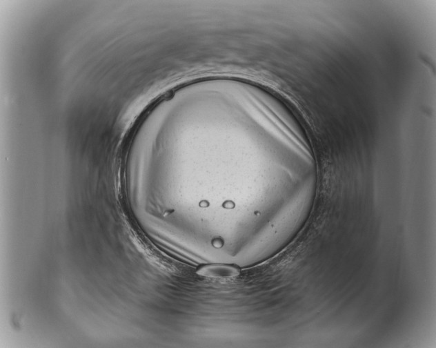 X0000100351511200806201528