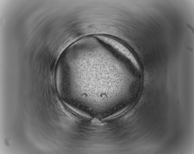 X0000100351513200806201528