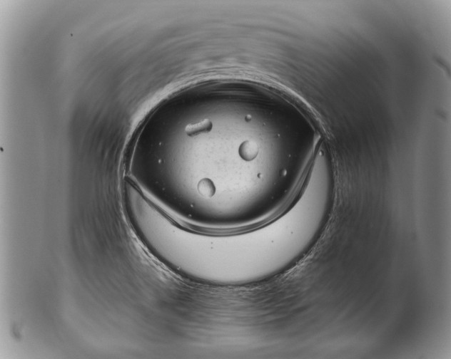 X0000100351514200806201528