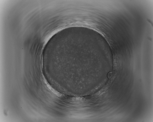 X0000100351515200806201528