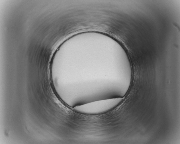 X0000100351516200806201528