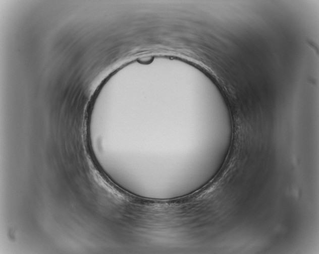 X0000100351518200806201528