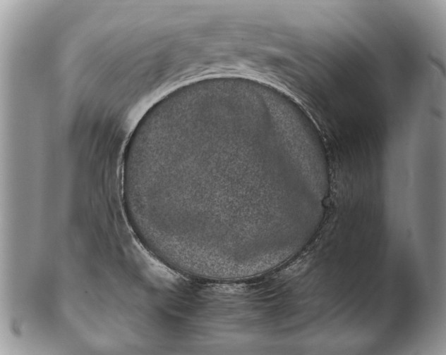 X0000100351519200806201528