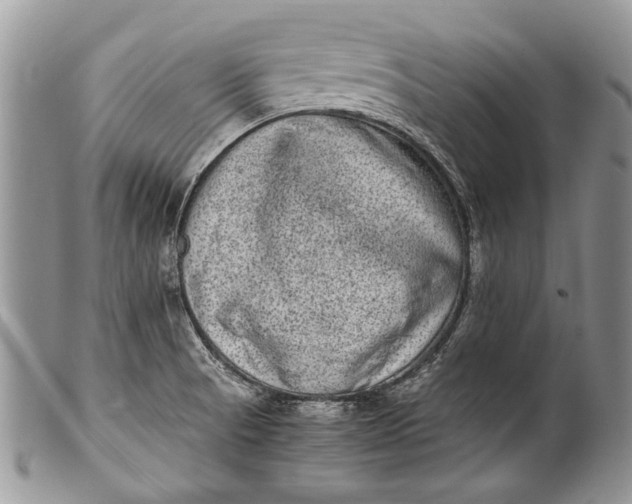 X0000100351521200806201528