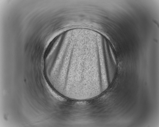 X0000100351523200806201528