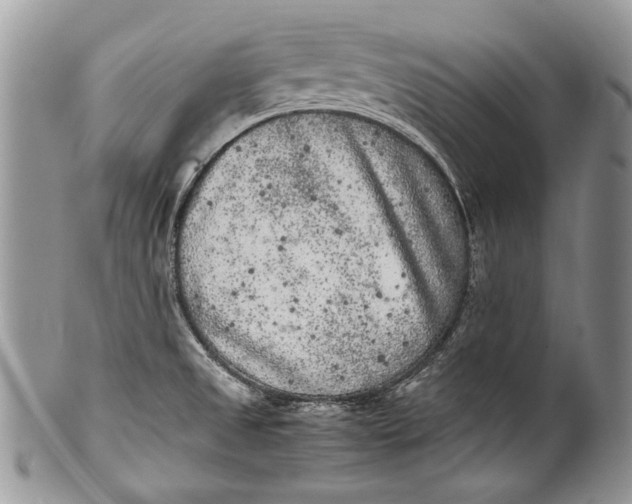 X0000100351525200806201528